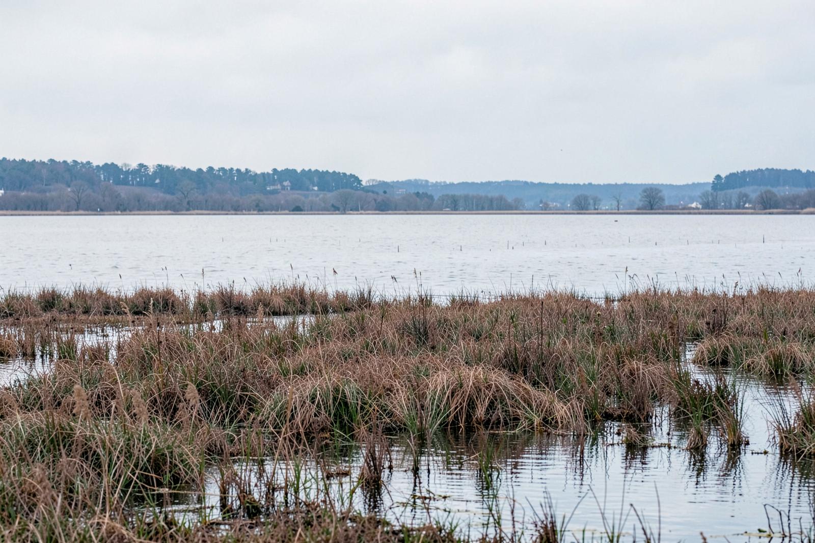 Tidal marsh and calm grey water on the New Hampshire seacoast in the off-season